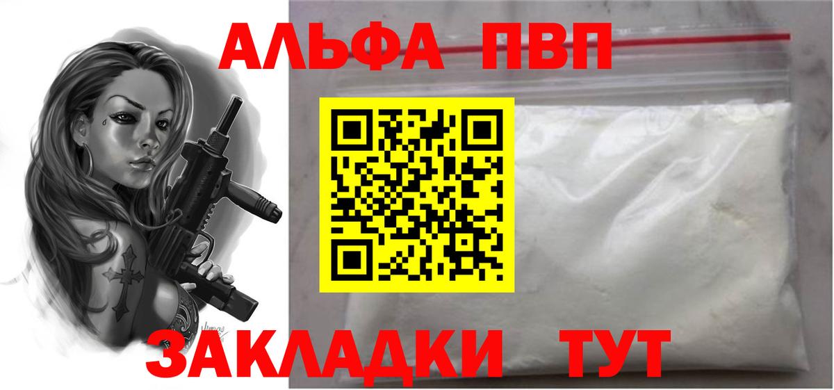 A PVP СК Новодвинск