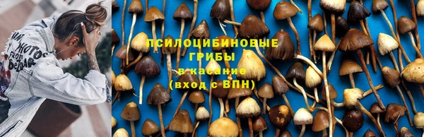 ALPHA PVP Волоколамск