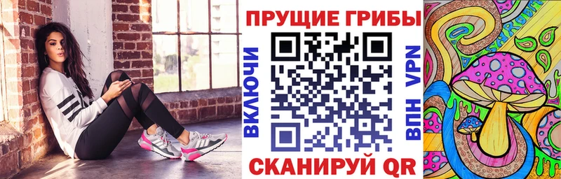 Купить закладки  Новодвинск  Псилоцибиновые грибы MAGIC MUSHROOMS 